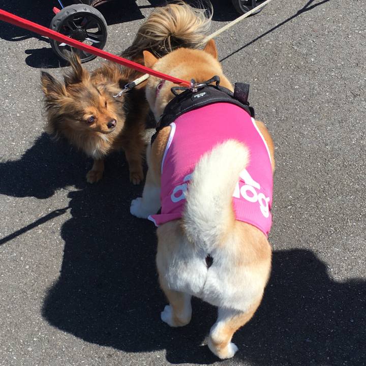 D2ec787f df52 40e8 8f27 37be36847946 1583898518794