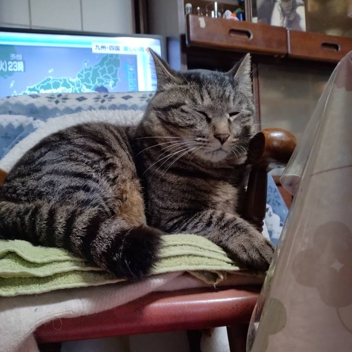 D2ed000c cfd4 4e77 bd73 77f5f9a9c848 1679349285798