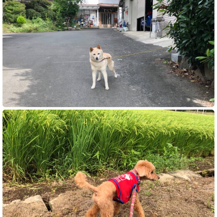 D2ed18ac ba1d 4e3e 85b7 a0f8d2e67ab1 1565933411933