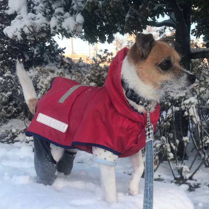 D2ed6243 0be3 438b af9d 4ade3b5c0833 1516664719839