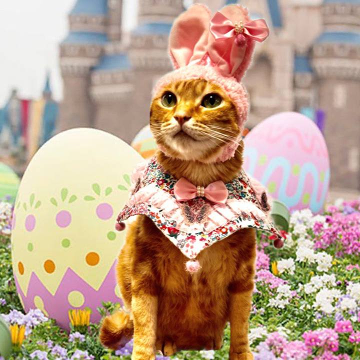 D2eda211 f090 4d41 921b 7f8055b09b33 1650122420127