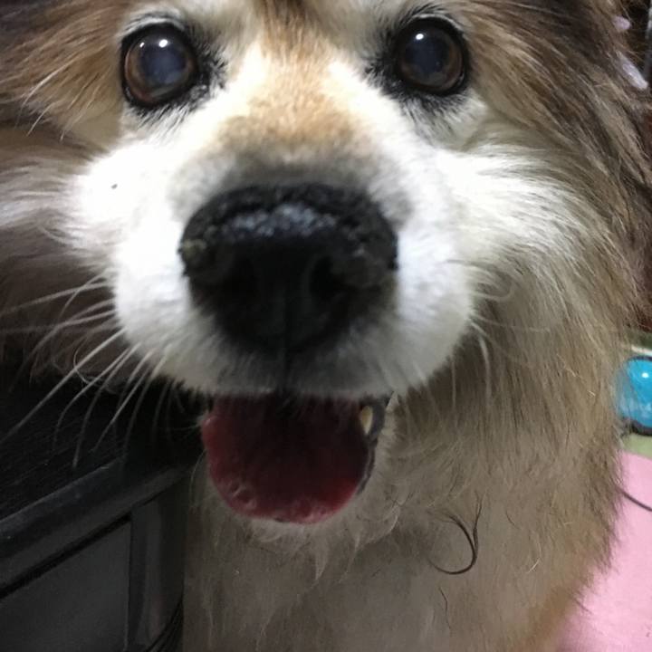 D2eda24b 53b0 44c0 a4c7 84b4fbe1b643 1657055673821