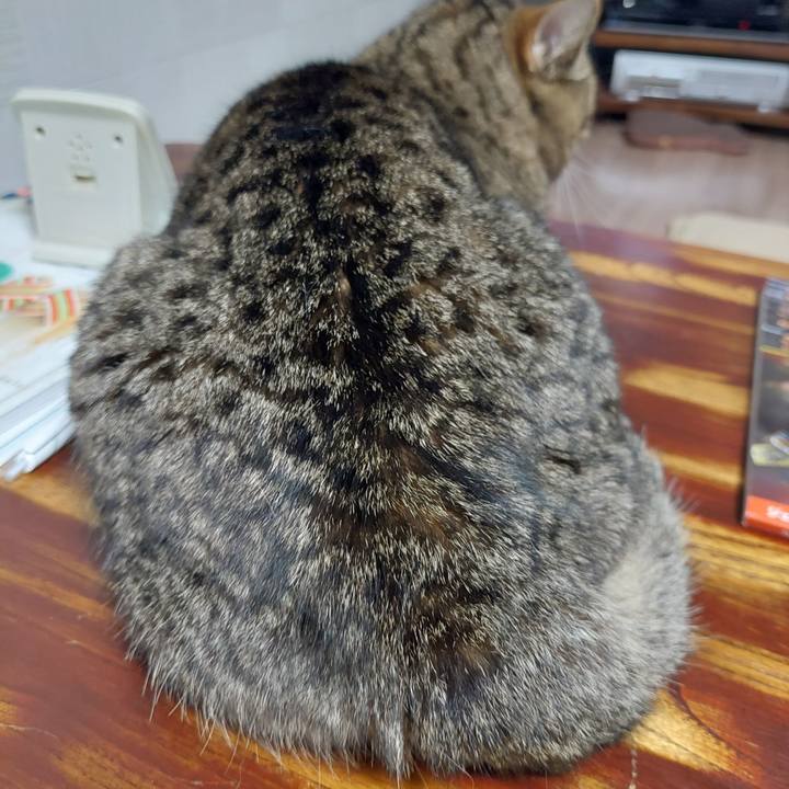 D2edee0a 1809 4e75 83c0 e2bf9b41a6fa 1628855026861