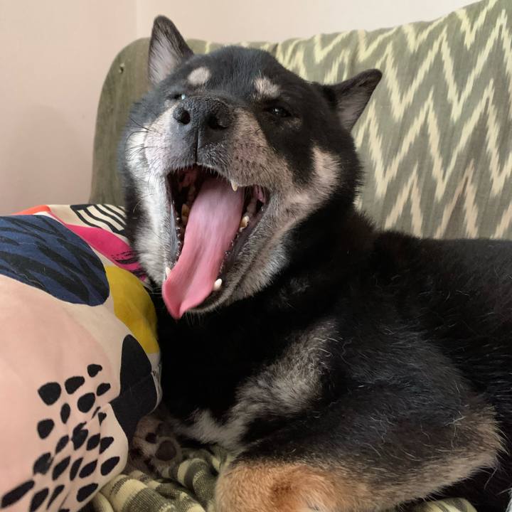 D2ee0bff 2dbd 4159 bd23 4c25375a4550 1590484193597