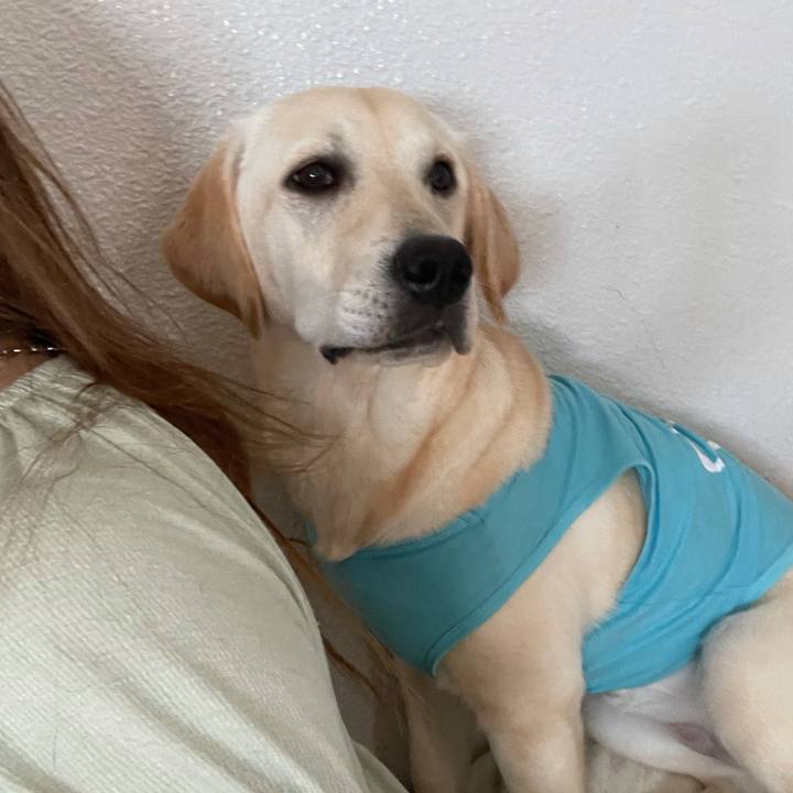 D2ee1550 e4b7 449b b941 1a2b3ee83535 1623025568069