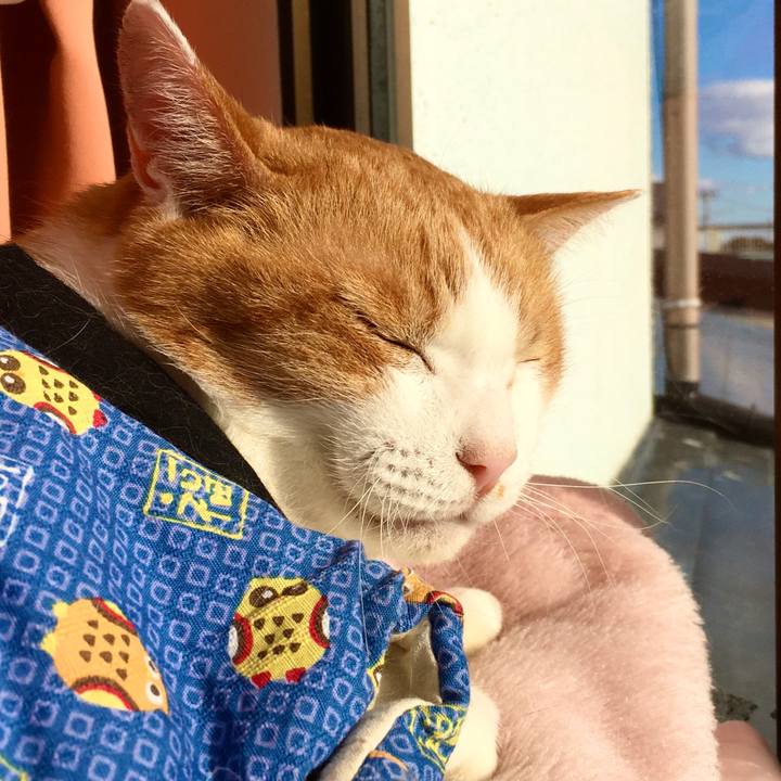 D2ee19c1 fad5 42ba 8c92 46b53f4441ac 1573801233314