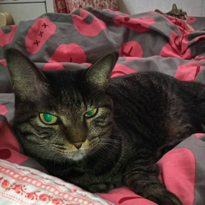 D2ee26fe 05e0 4bb2 8a57 71c1b00ae8b2 1508169182519