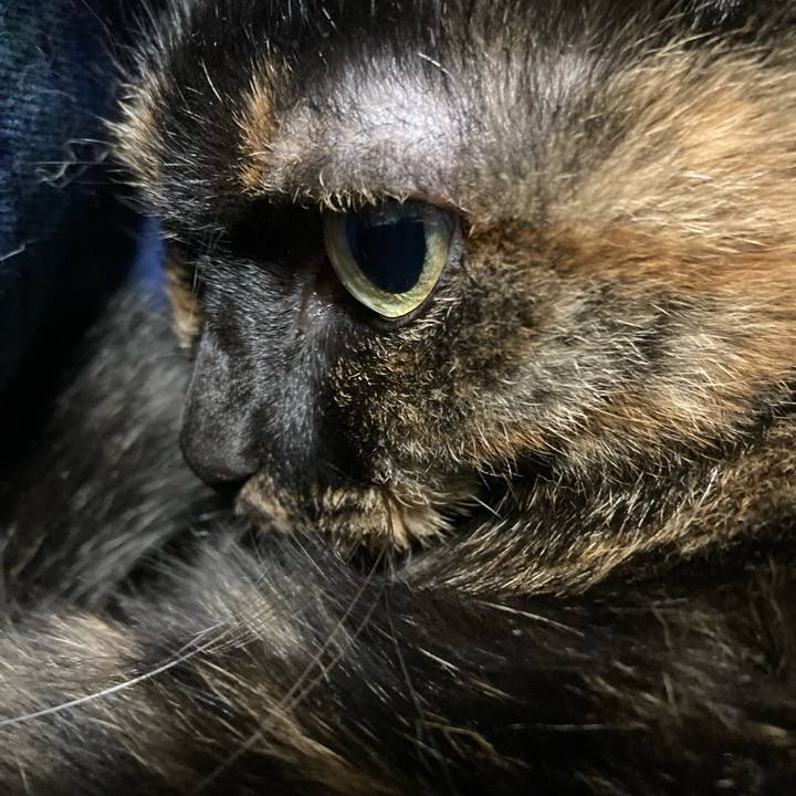 D2ee593e 9654 471f 913f 54523e77ae28 1638445221705