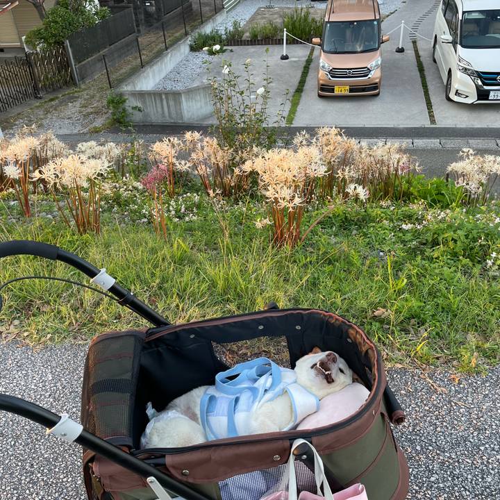 D2ee7abd 4d5c 4267 ba71 6c57eb9062c5 1664710430683