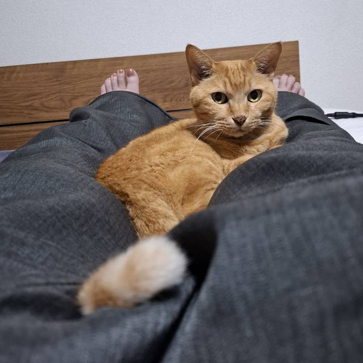 D2ee9d43 372c 4bb9 8a68 2dce68f0dd58 1758249834685