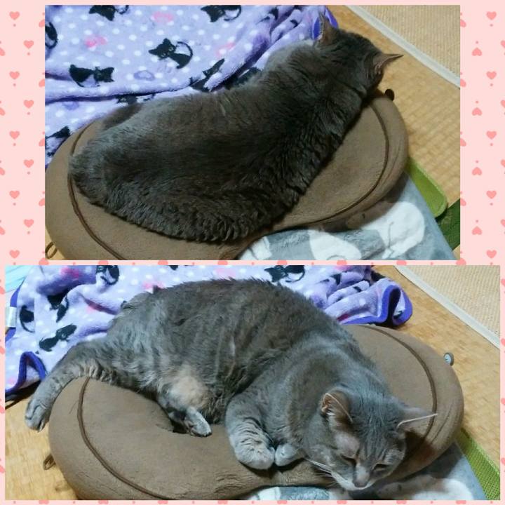 D2eef556 2d69 4758 b3b3 eae57485ce8a 1588020384635