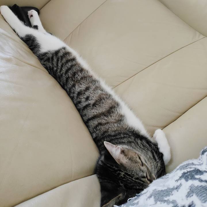 D2ef1f02 90ef 42a3 8263 b75ecd875ede 1633321132596