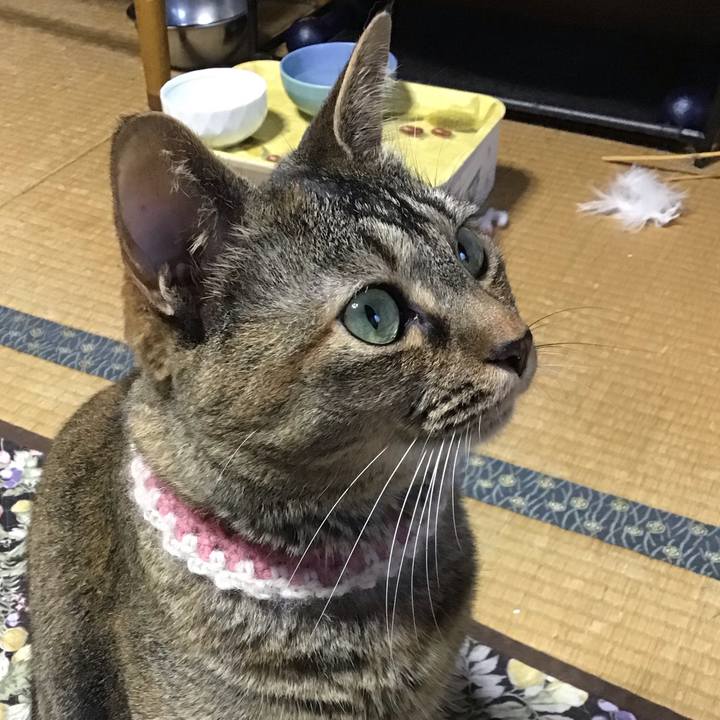 D2ef6ed5 4a22 458c ad04 cf7c92b50f66 1656139674143