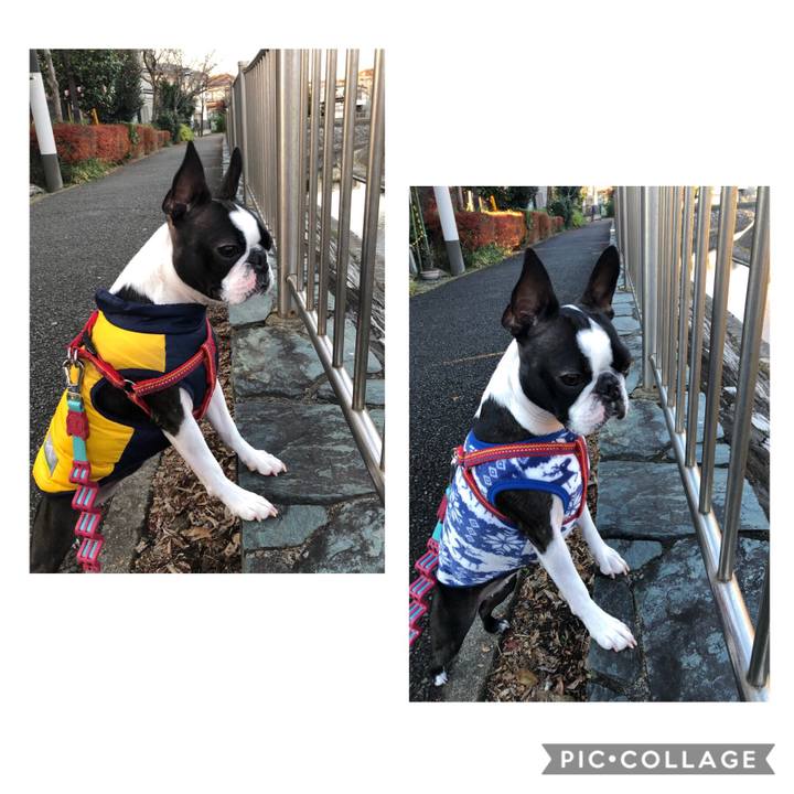 D2ef87f2 2437 4076 810b 78f6b8e49677 1545225159262