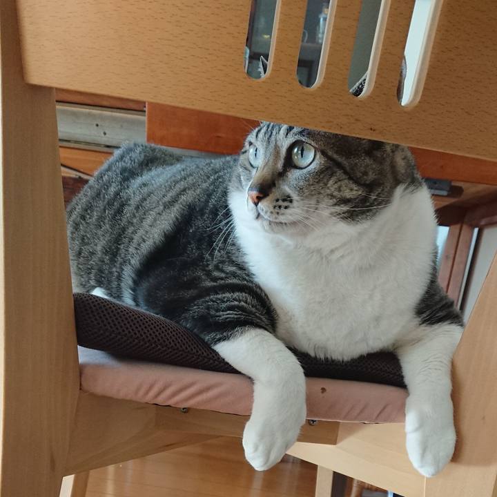 D2efbbfa d250 44da 8ae1 3e382f719d19 1552866938818