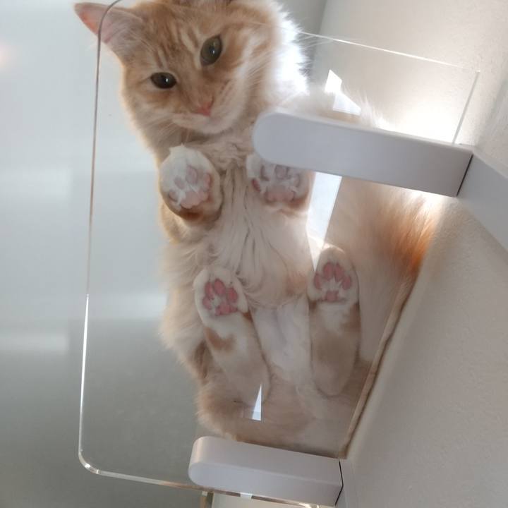 D2efd6e7 d392 4e07 ac2a be2f7de301ed 1619229334081