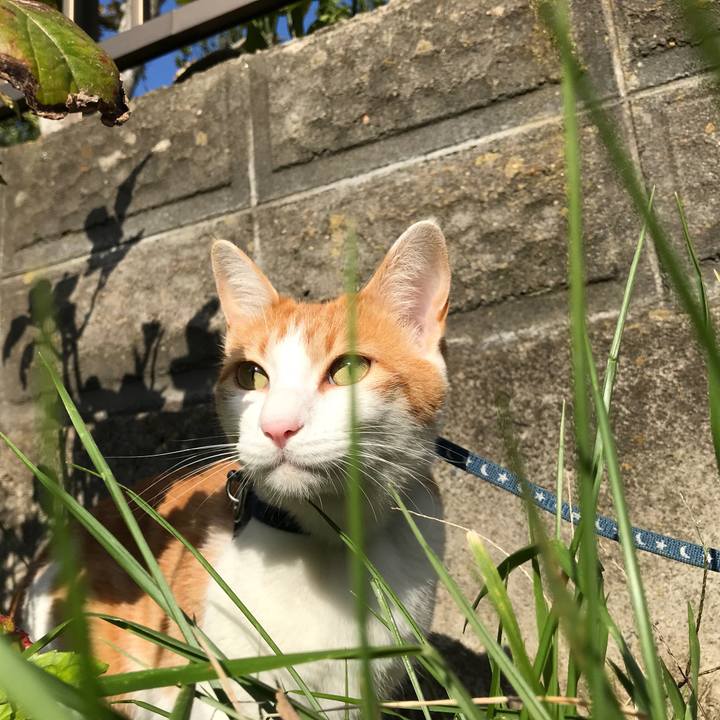 D2f05a0c 66c9 4a71 a7aa cd3cfe7c0ff0 1509408007006