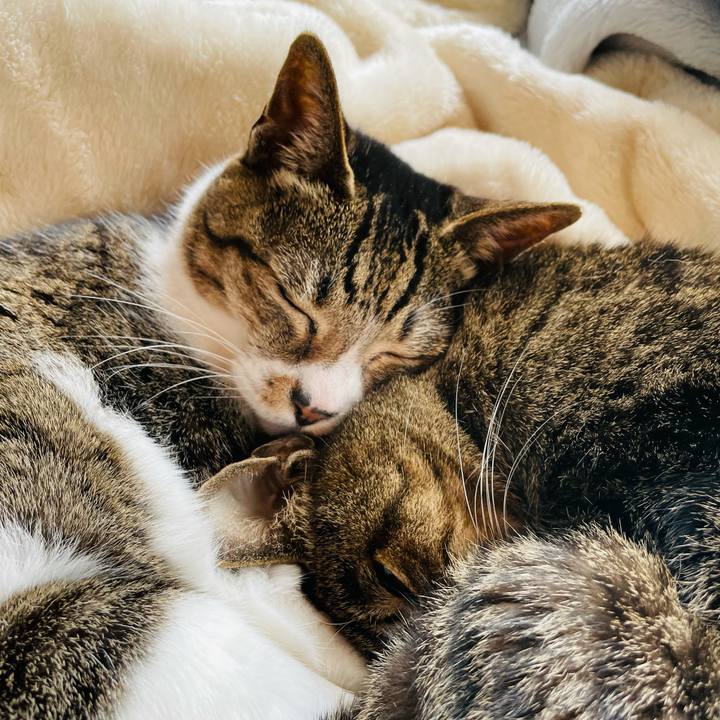 D2f08db1 0c20 4ecc a1f2 5c55f2526fb7 1615080740735