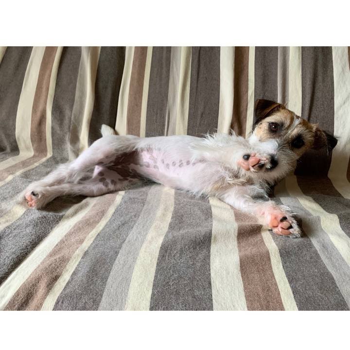 D2f0b503 4559 4b26 9c60 7f9db86a523c 1592719994497