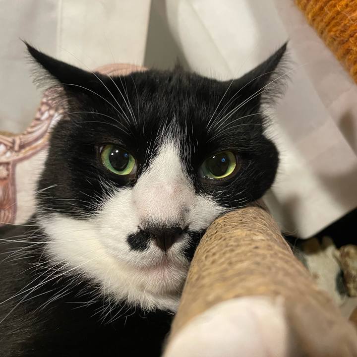 D2f0c298 76e5 45f6 ae95 bc6ddc5f8ecd 1719583172171