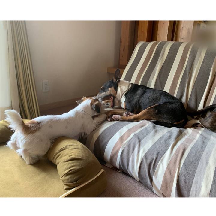 D2f107d1 7ebc 4d01 972a ae0ec4d50b4a 1594551097783