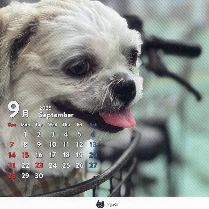 D2f11b83 3612 46fc 8a2a 4536f29ffef6 1756676531696