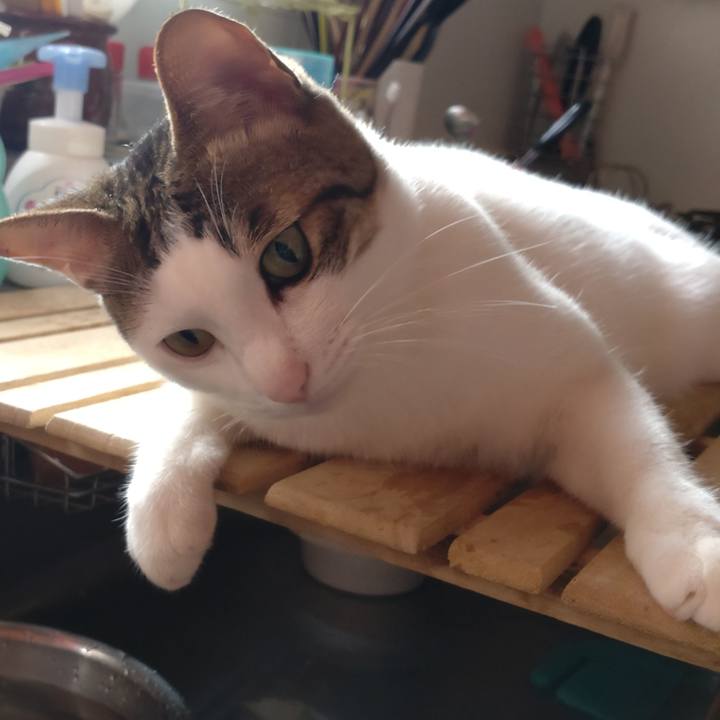 D2f135aa c8e4 4bbf 86ed 6882fc894338 1690415544803