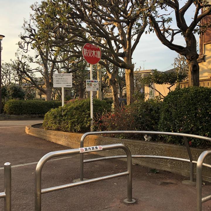 D2f14725 403b 41b3 8cc5 aca867638db0 1550220292446