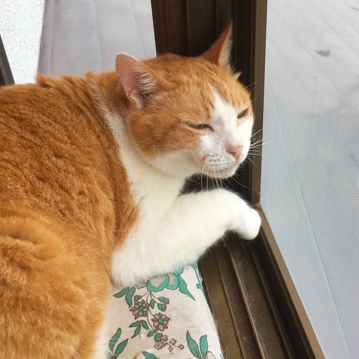 D2f15c64 5549 4ec8 931e a08b85527d9e 1562294767228