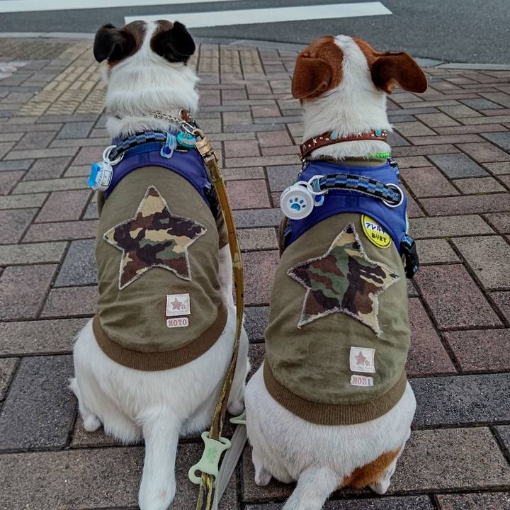 D2f198f9 cb62 4e0c 9bec 19a45e5a9097 1632048547227