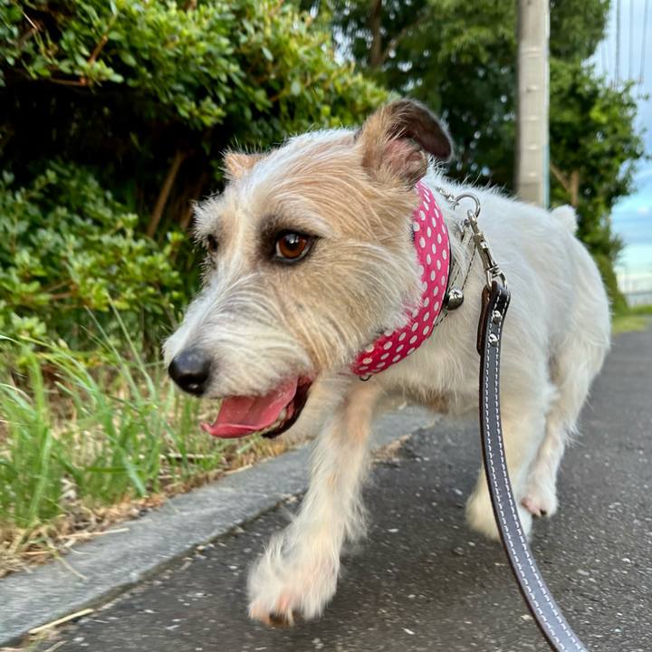 D2f19da4 185a 4192 8437 5b426cc7706e 1752957519019