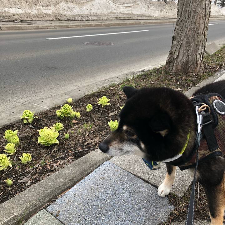 D2f1a839 e2ee 4231 a31e 993d16179e12 1616668145987