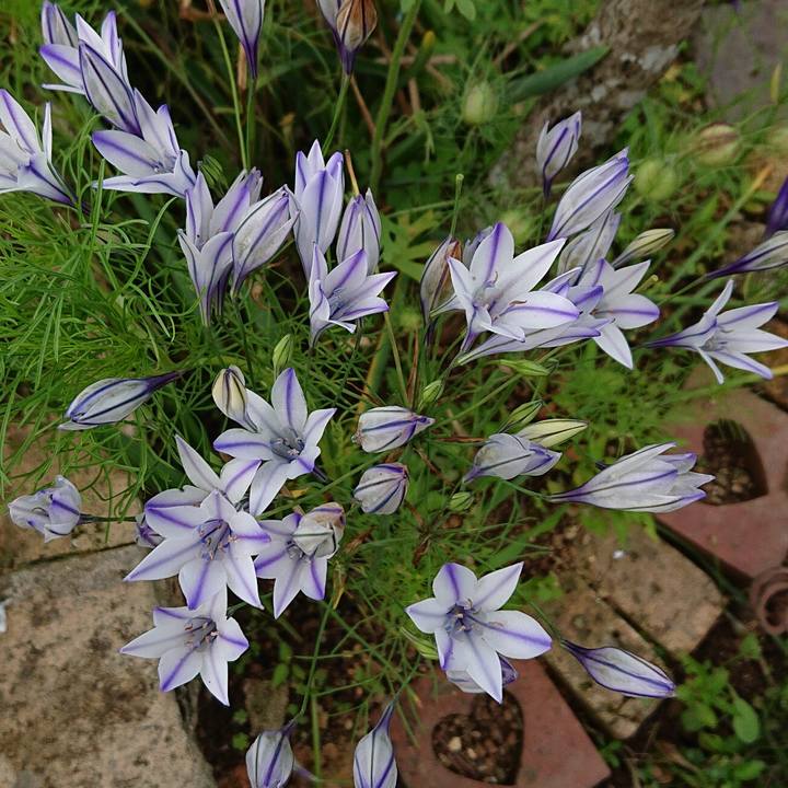 D2f1bacc 790c 4aa6 9877 f7d88d512ede 1654573162738