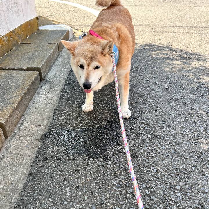 D2f1cbed b8a6 4316 a08d 9eb1bdf05525 1750291198547