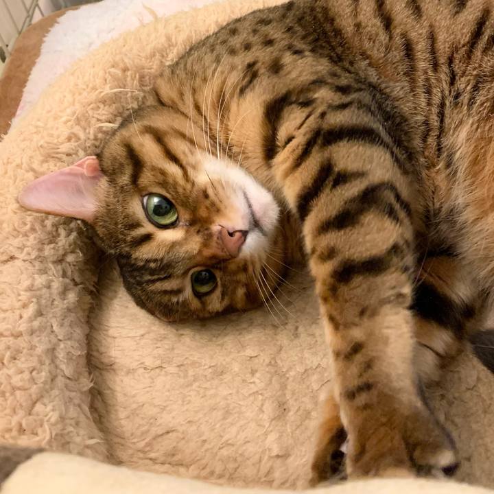 D2f214bb 83fa 4f5c 9b21 90529b7692ef 1617759366111