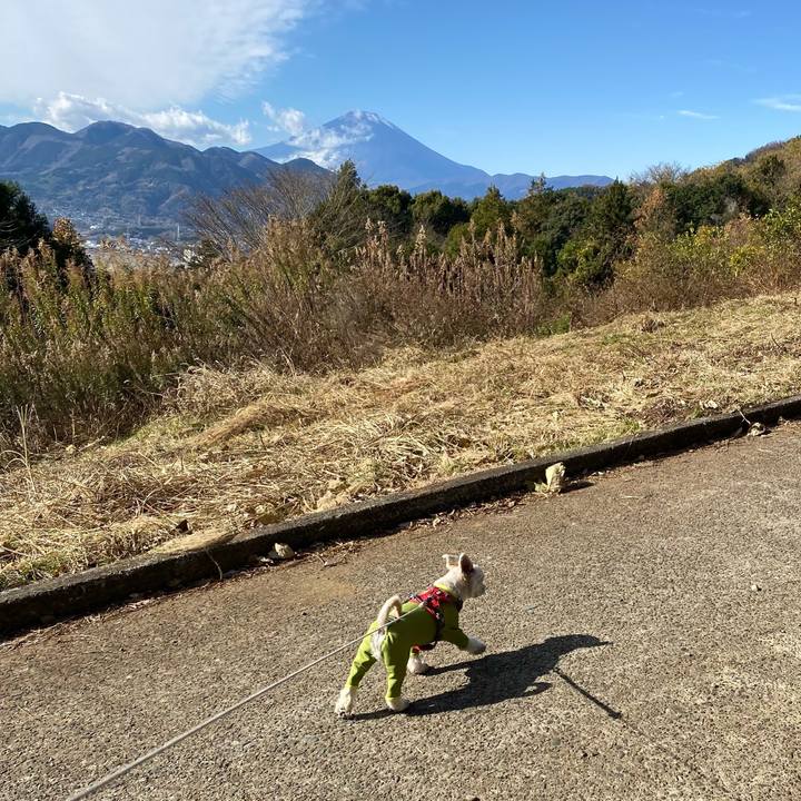 D2f23fc8 4c6b 472e b481 6ebb3bcd5fcc 1608443093468