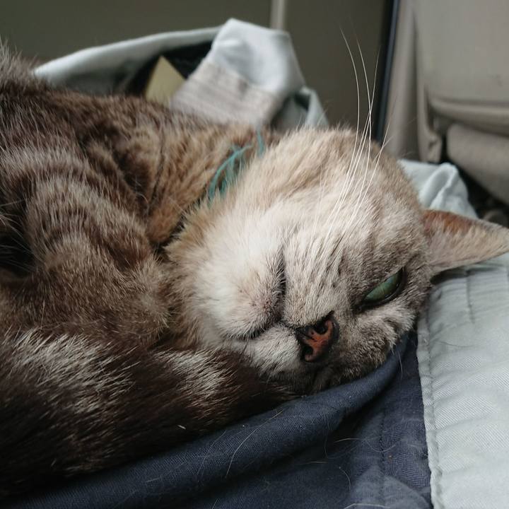 D2f2658f e84c 4bf3 91d7 d3fa2f0c1140 1563154893248