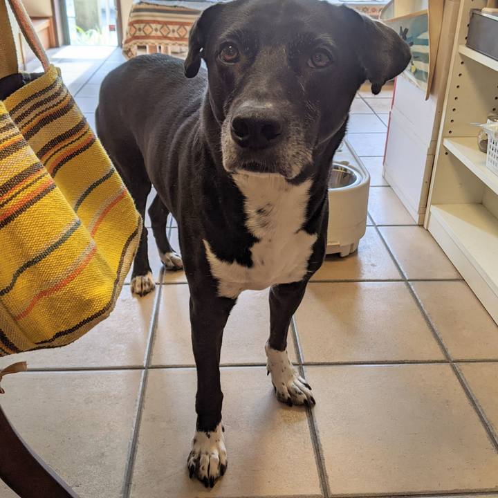 D2f26cf7 ebd7 49d6 9f8e 29c6a901dccd 1695379247833