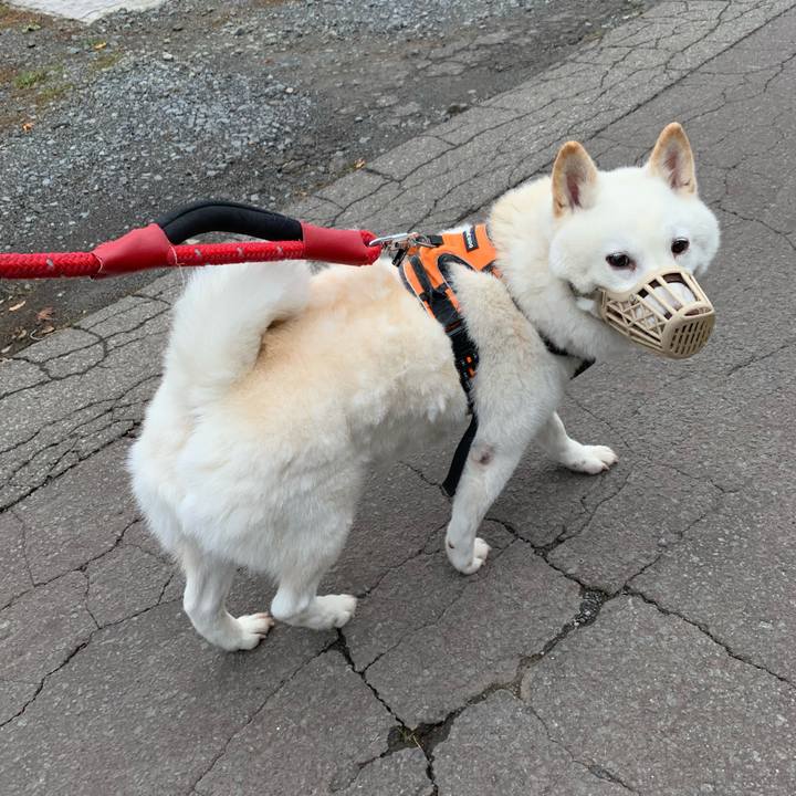 D2f28d0f 3d0c 4192 9d04 29d606eaec1b 1667631307682