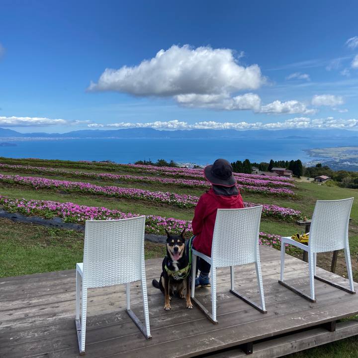 D2f29d0e 0eb8 4d98 932e 5fade754bd8a 1633519083964