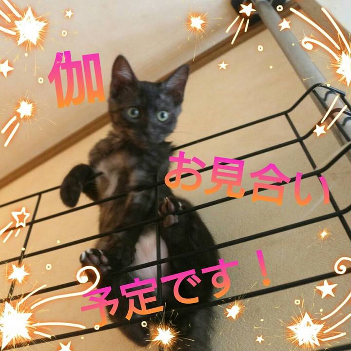 D2f29fb7 dae1 41c2 8ecc fa4f578a9b02 1626393070496