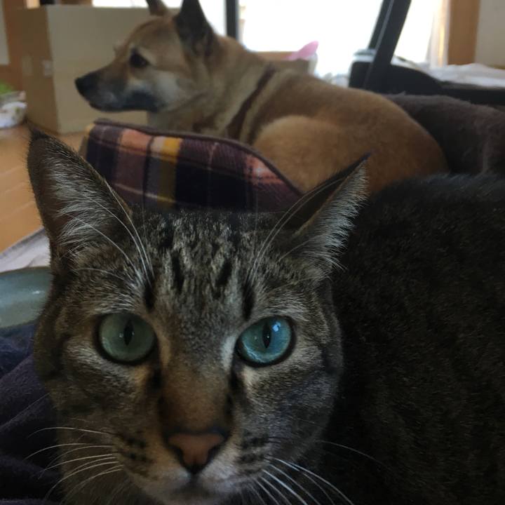 D2f2b44f 22aa 4096 aaed a32b52f0508b 1521852544680