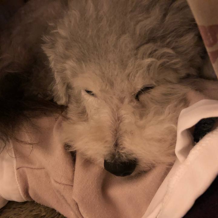 D2f2df03 3e62 4b27 aa4f bfb010fabc71 1536758691627