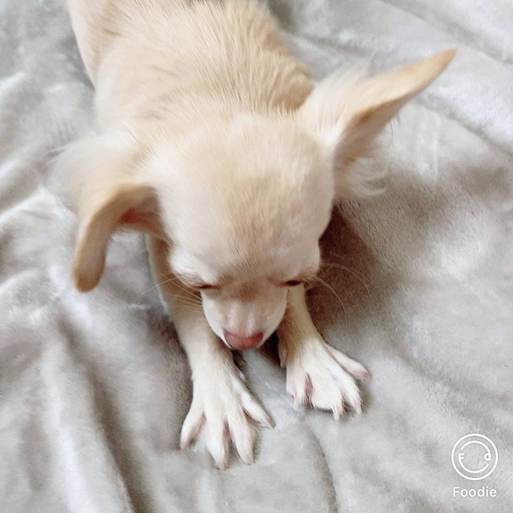 D2f2f101 40ad 4950 a0ff 89c4cb1f18e2 1603864500386