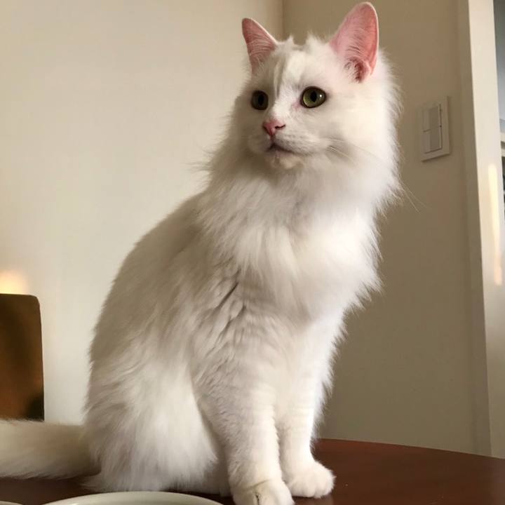 D2f2f490 8091 425a bc3b bebec871cf0a 1552725266037