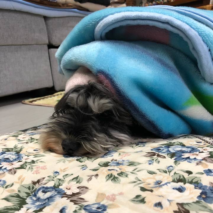 D2f2fcf2 3a4d 40f4 b117 a29767ea7f54 1610864459917