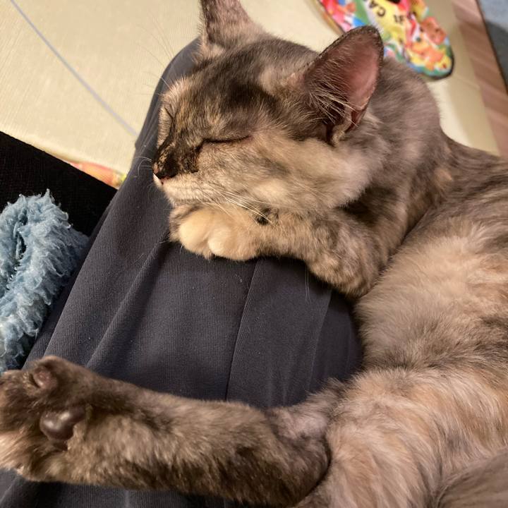 D2f3012f 9c85 4b56 8895 7fe4ea7f8258 1698752559087