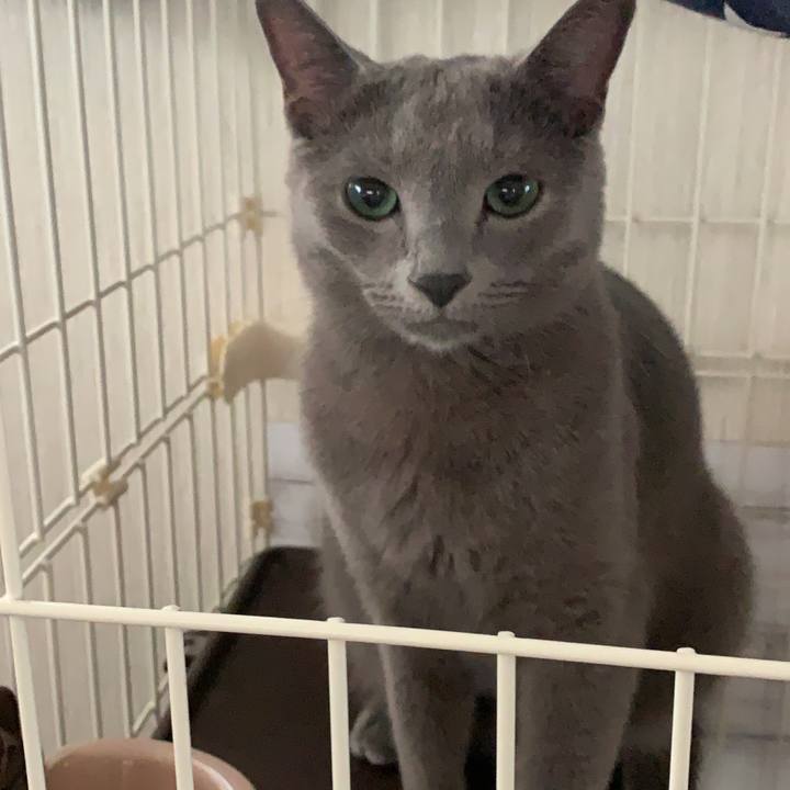 D2f31277 582a 4303 ad09 bde383cf1c96 1602467233980