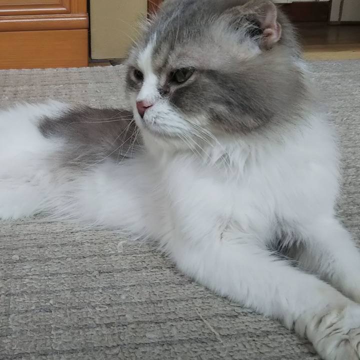 D2f31aec a0d7 451c bb55 89198c6789c8 1624756631910