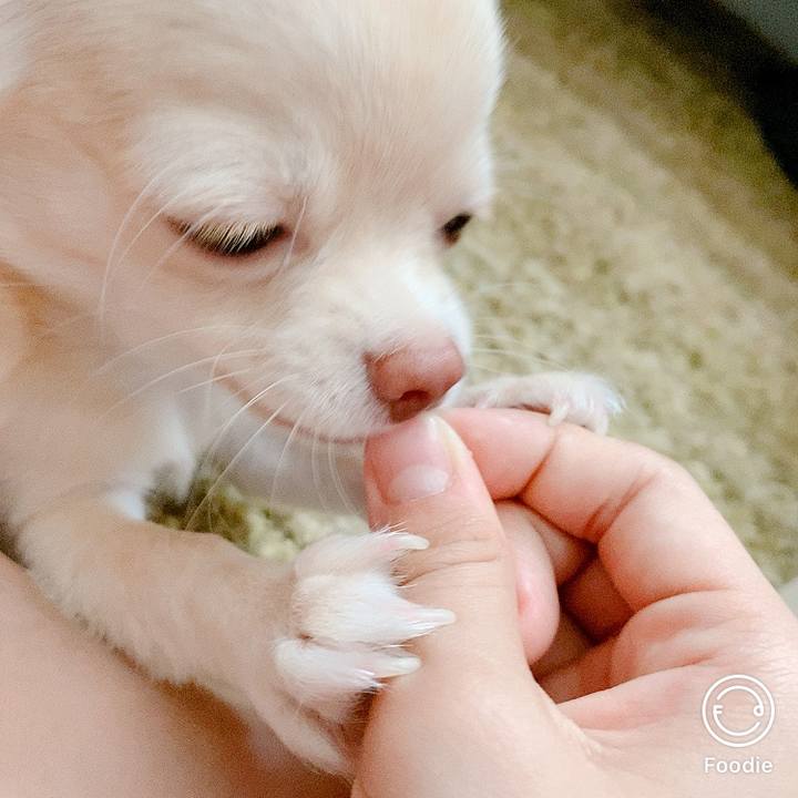 D2f3464f 948c 4dbb bb15 fa6b32908f20 1597642983216